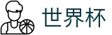 2026国际足联世界杯(中文)唯一授权网站 | 官方中文门户及数字索引